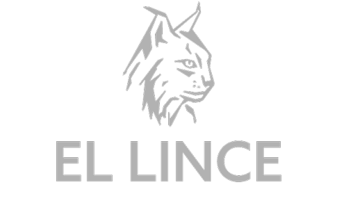 LINCE 1